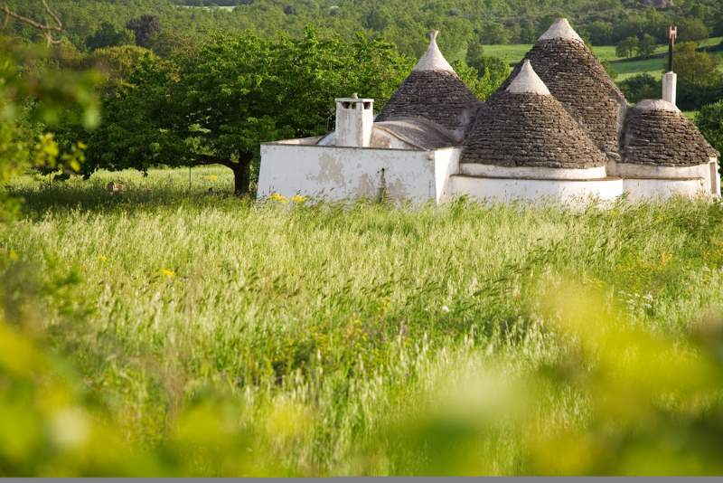 Trulli houses in the coutryside surrounded by green fields and trees