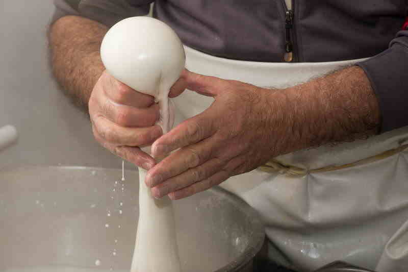 shaping a burrata cheese by hand