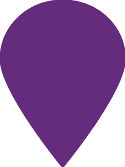 violette Pin