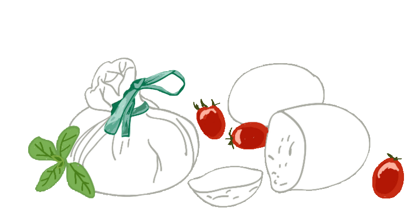 mozzarella burrata basilic and tomatoes sketch