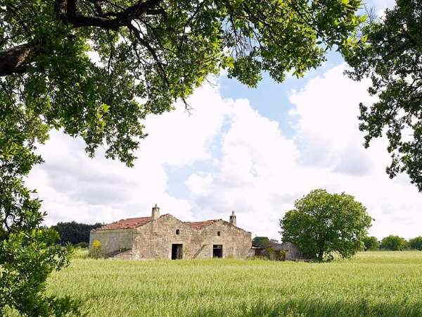 Murgia Landschaft