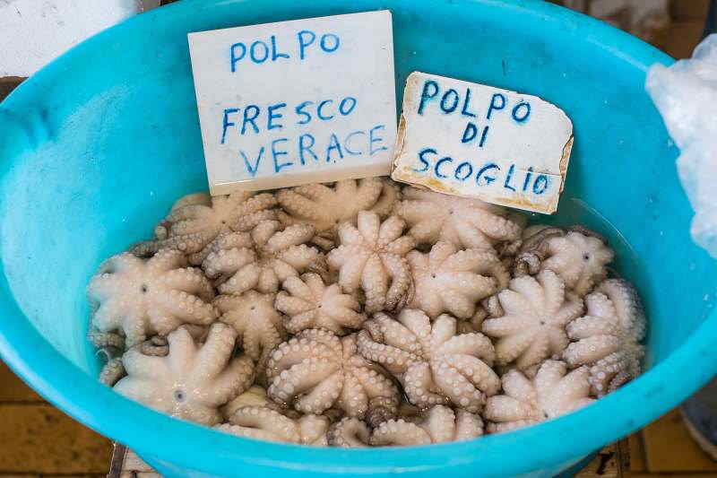 Raw Octopus in Puglia Italy